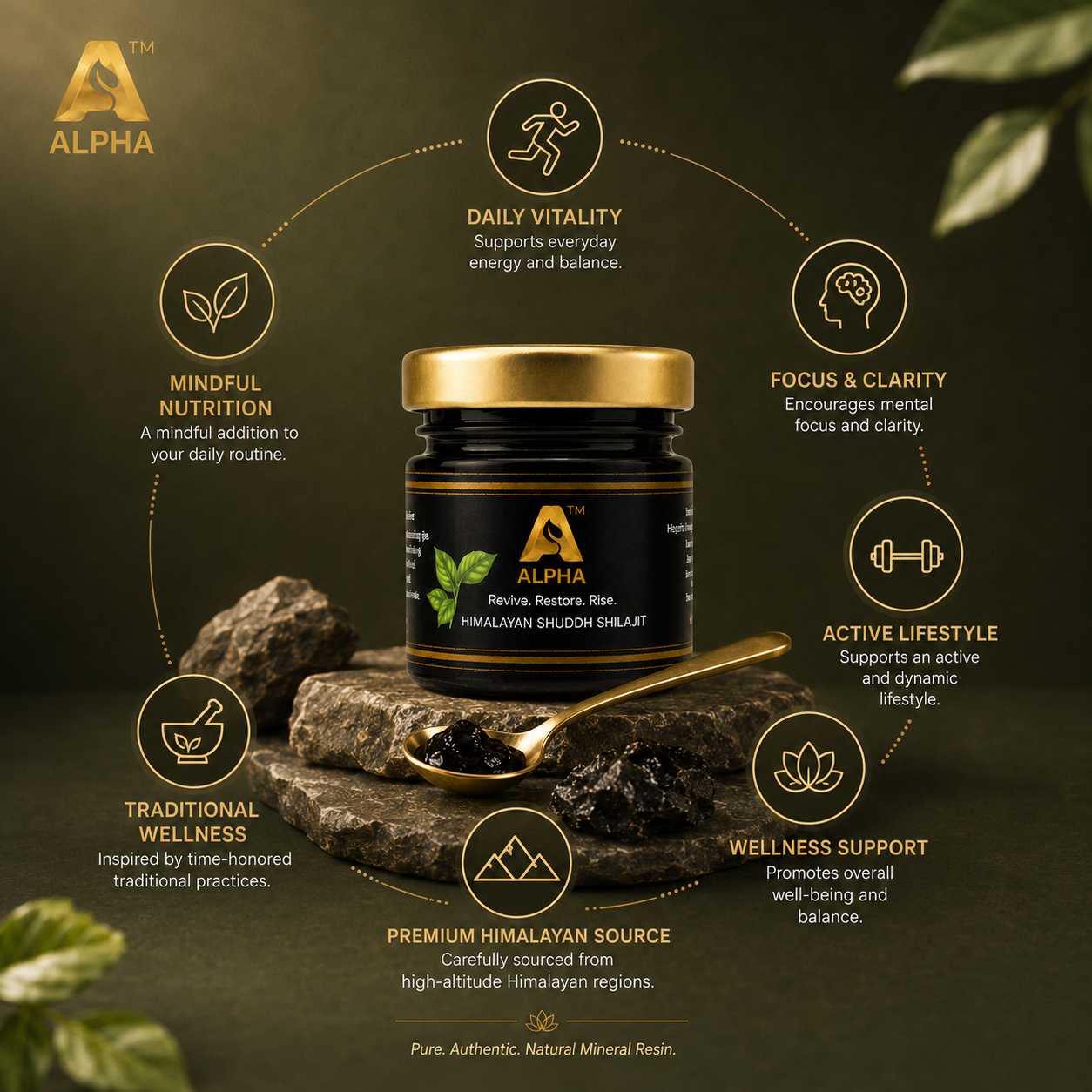 Alpha Himalayan Shuddh Shilajit Resin 20 g - Image 4