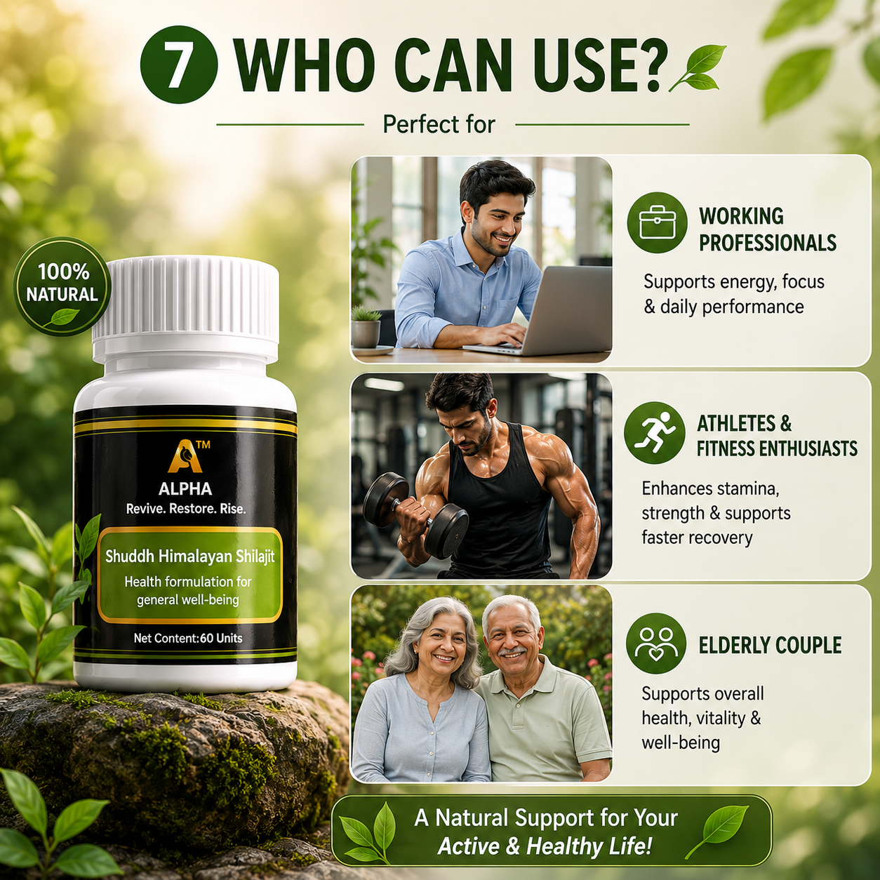 Alpha Himalayan Shuddh Shilajit Tablets – 60 Tablets - Image 3